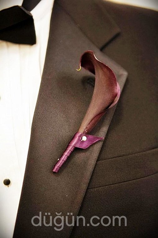 Daisy Flowers & Events