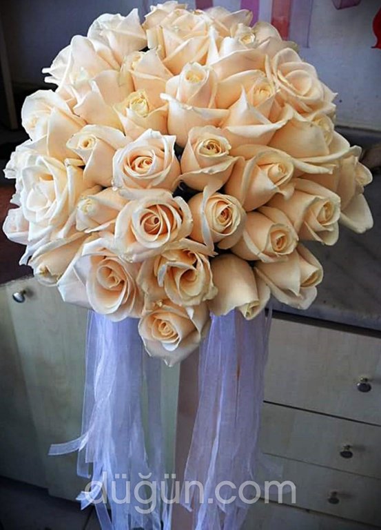 Daisy Flowers & Events