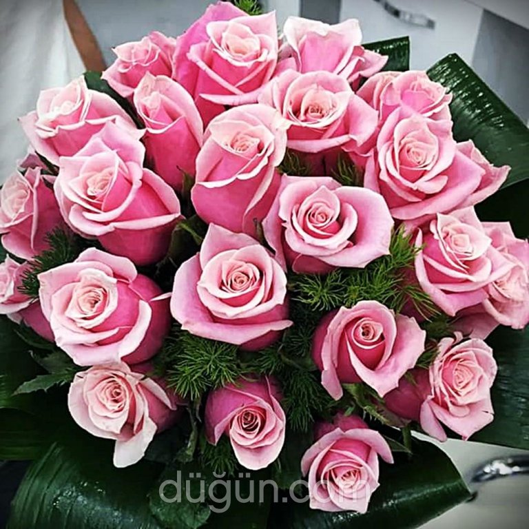 Daisy Flowers & Events