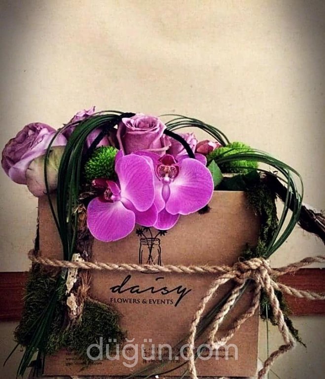 Daisy Flowers & Events