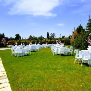 image-1231239