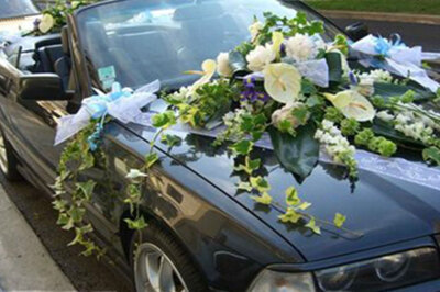 Sarmaşık Çiçekçilik