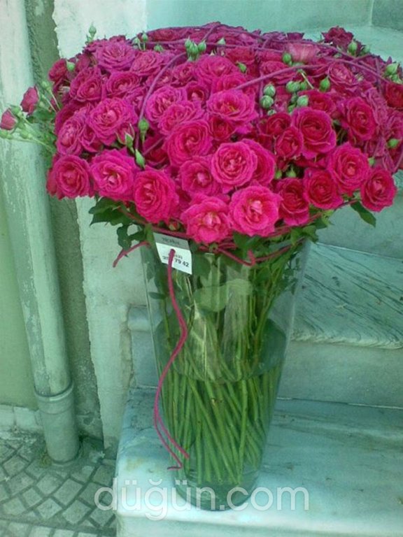 Tropikal Çiçekçilik