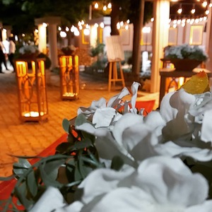 image-1736511