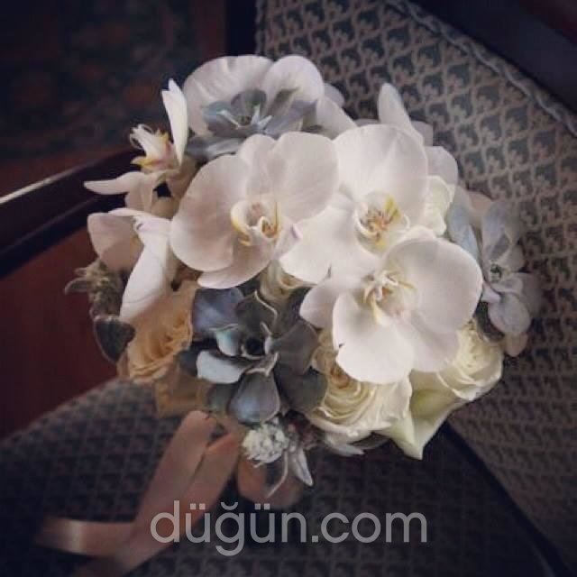 Ege Soley Corporate & Event Flowering