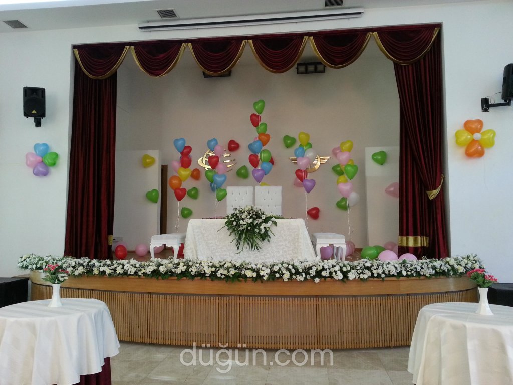 By Alice Organizasyon