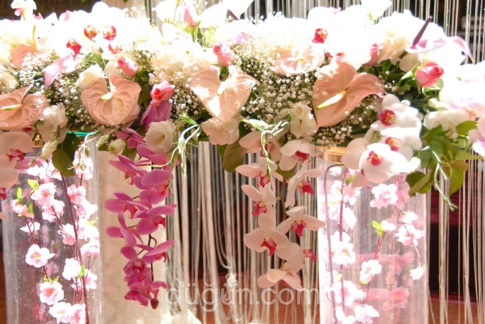 Retto Exclusive Events