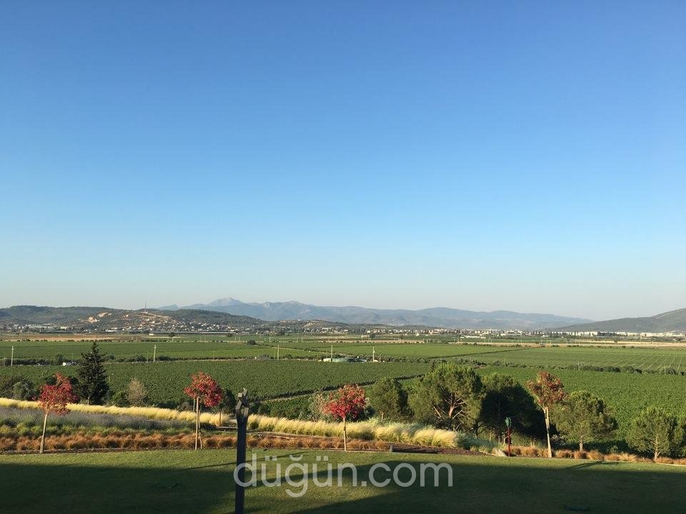 Lucien Arkas Bağları - Mahzen Restaurant