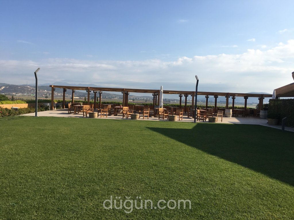 Lucien Arkas Bağları - Mahzen Restaurant
