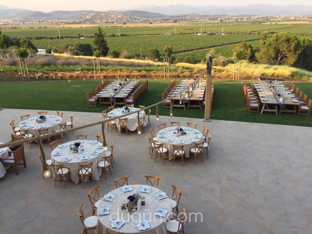 Lucien Arkas Bağları - Mahzen Restaurant