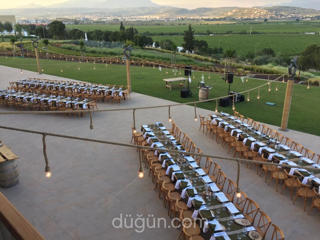 Lucien Arkas Bağları - Mahzen Restaurant