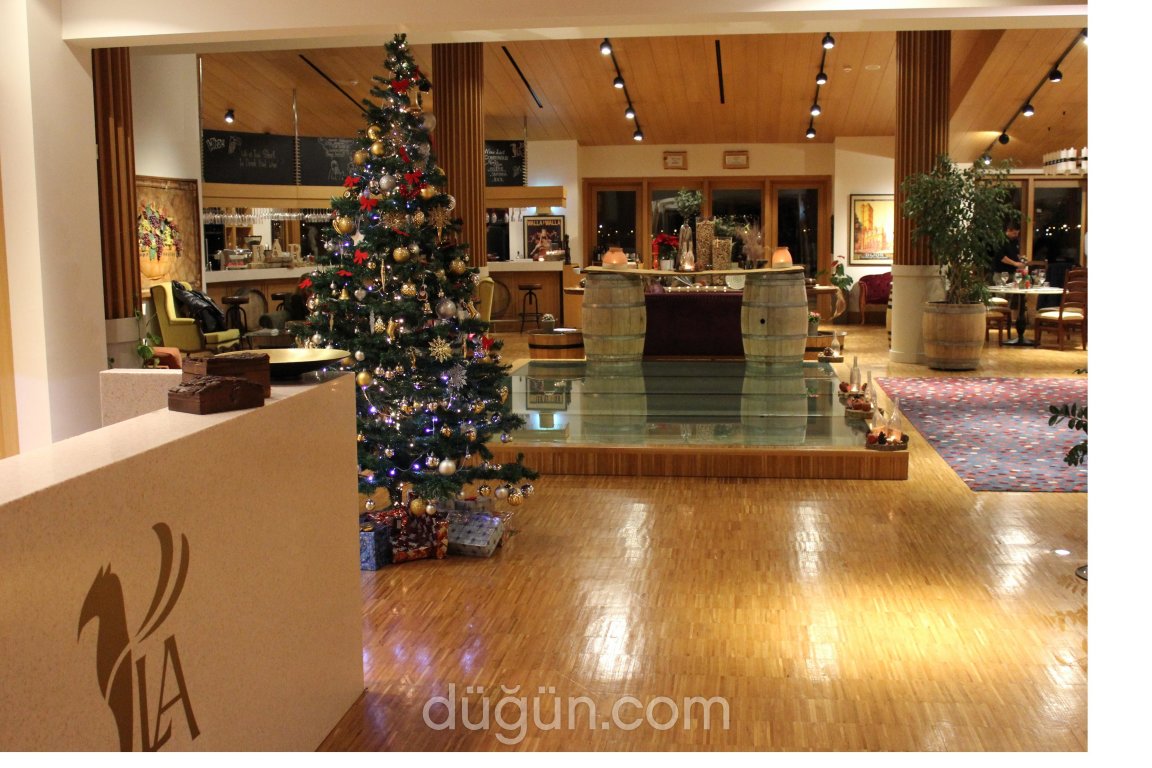 Lucien Arkas Bağları - Mahzen Restaurant