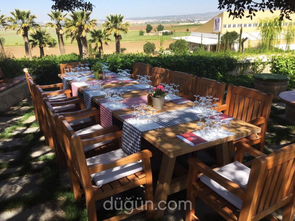 Lucien Arkas Bağları - Mahzen Restaurant