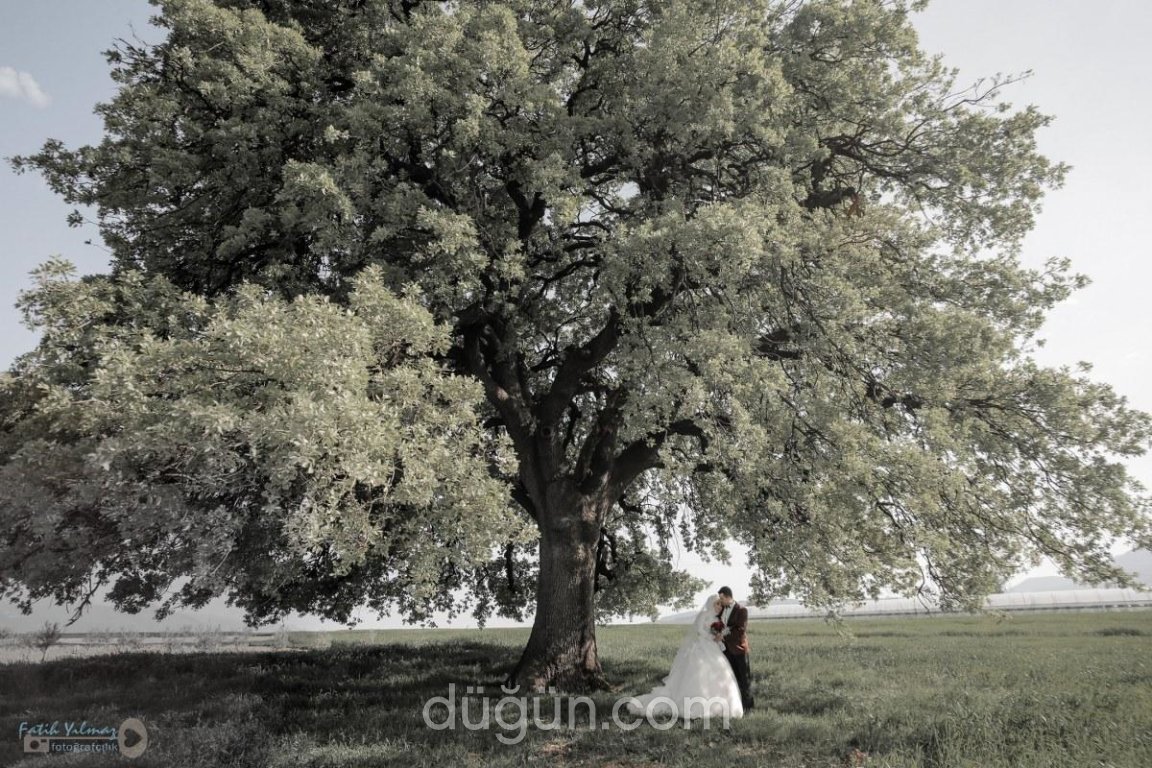 Fatih Yılmaz Fotoğrafçılık