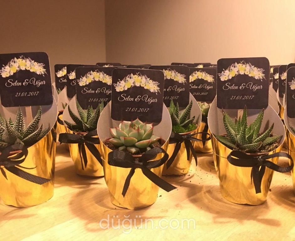 Mia Tasarım Atölyesi