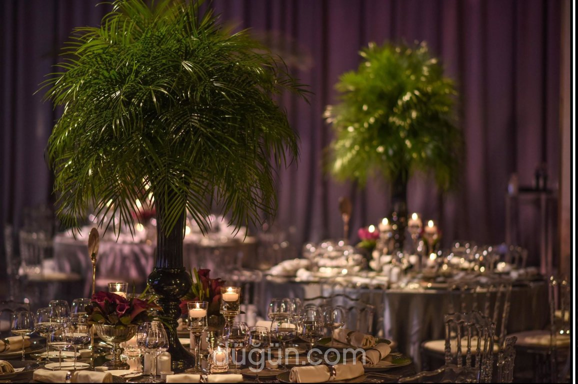 Lavin Event Production & Desing