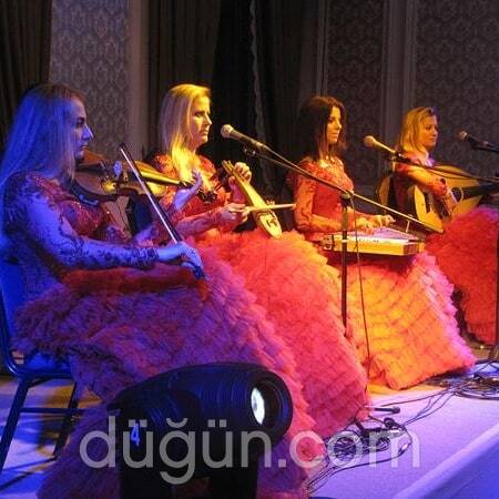 Poli Ajans Organizasyon