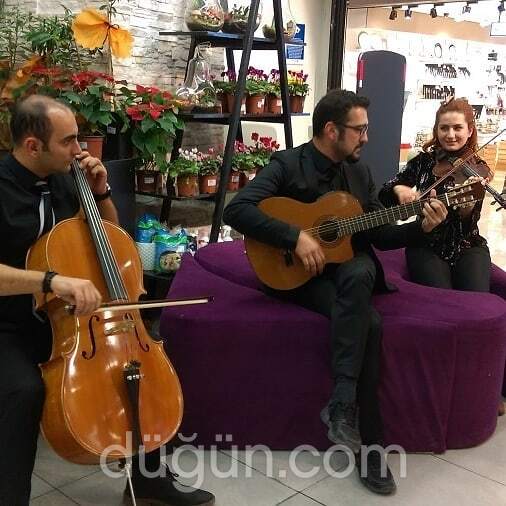 Poli Ajans Organizasyon