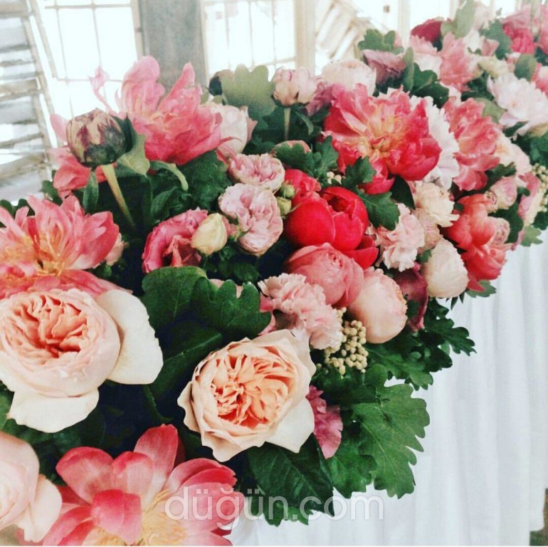 Tutku Event Production