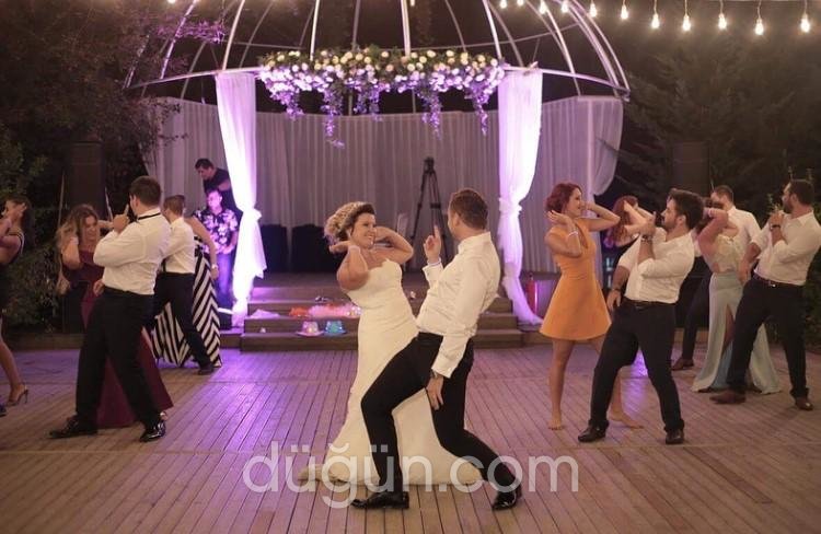 Tülin Motola Dance Company