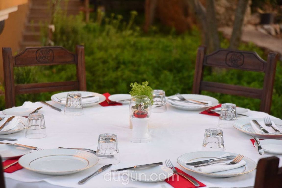 The Olive Tree Restaurant & Bar