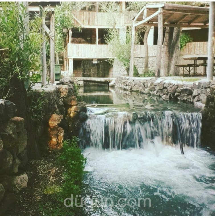 Başdeğirmen Alabalık Tesisleri