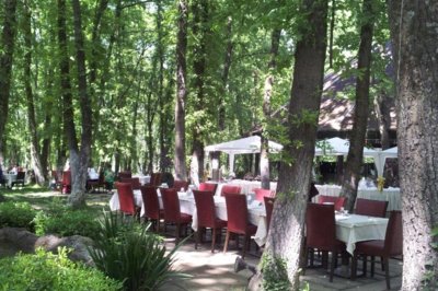 Meşelik Park Sapanca