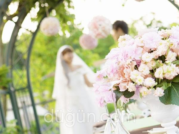 My Green Boutique Otel