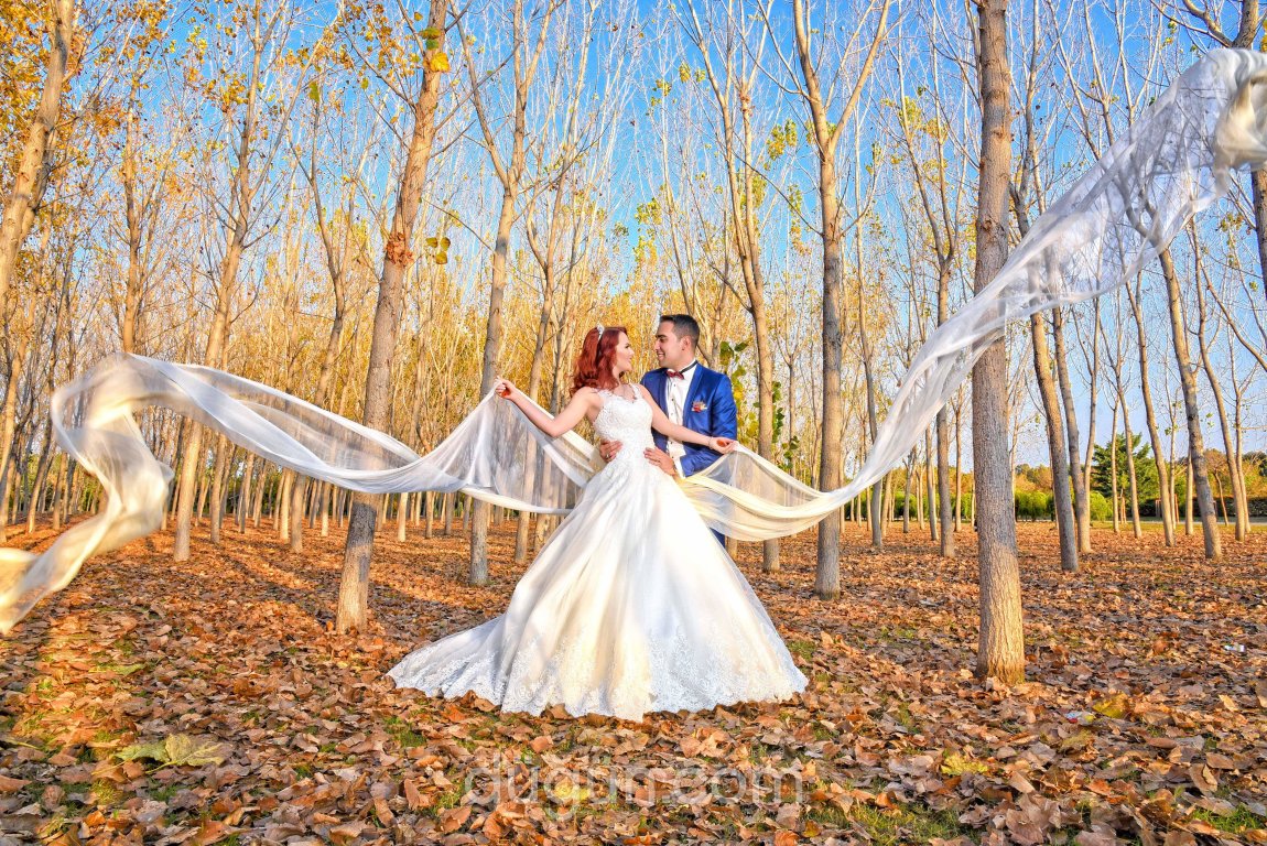 Panorama Photography