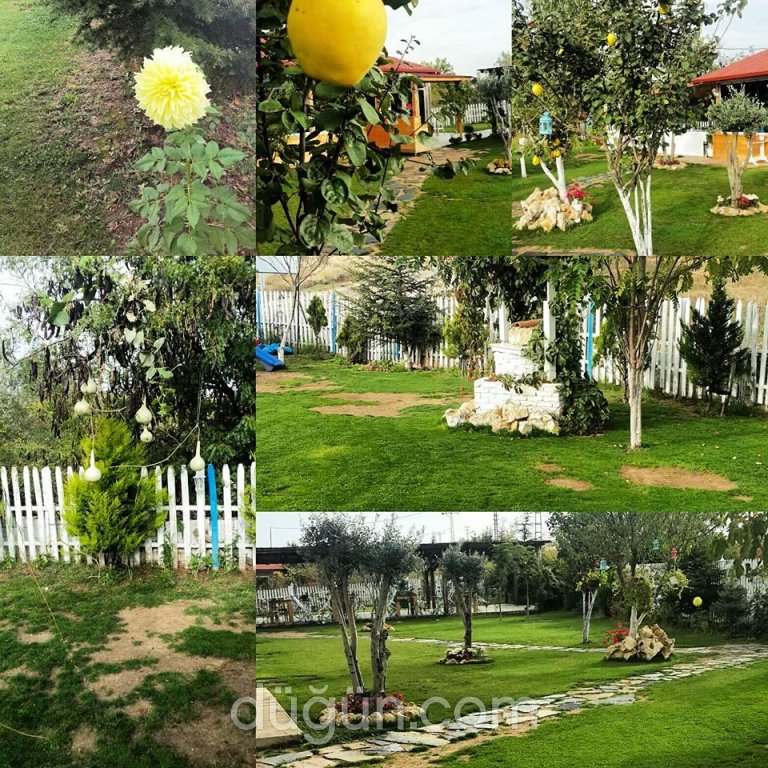 My Garden Restaurant