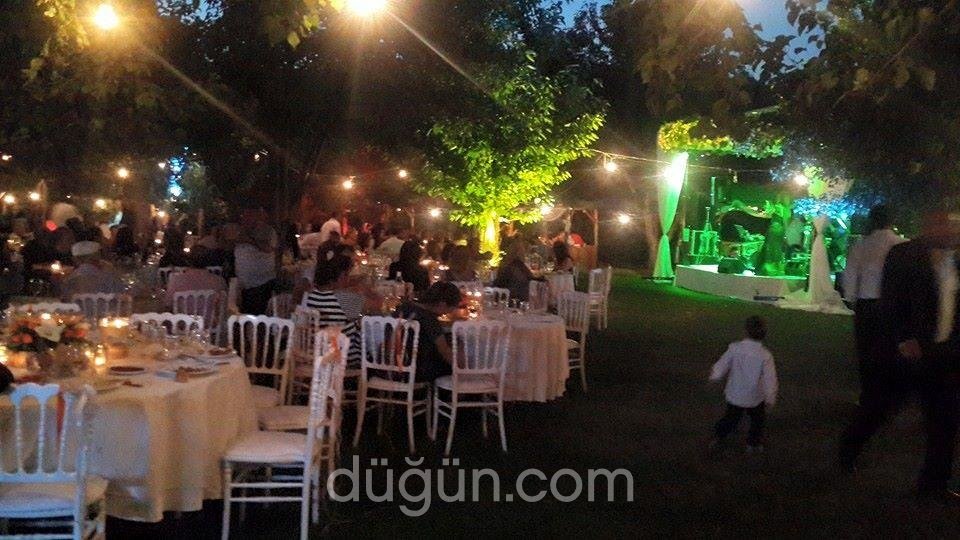 Bulut Kır Düğünü Bahçesi