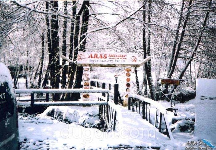 Aras Alabalık Tesisleri