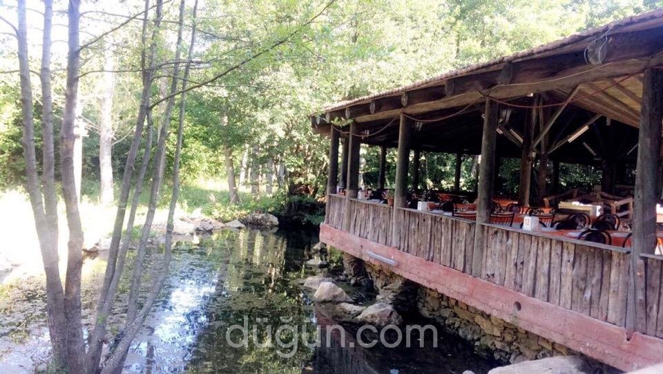 Aras Alabalık Tesisleri