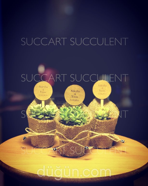 Succart Succulent