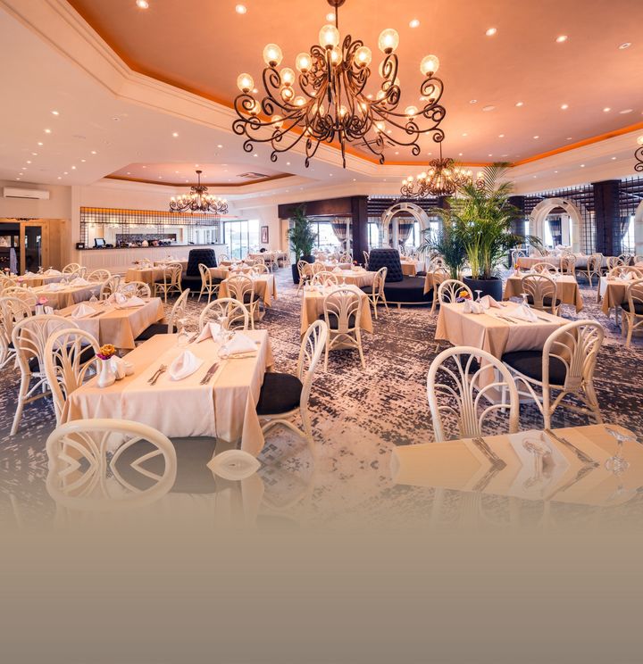The Olive Tree Hotel