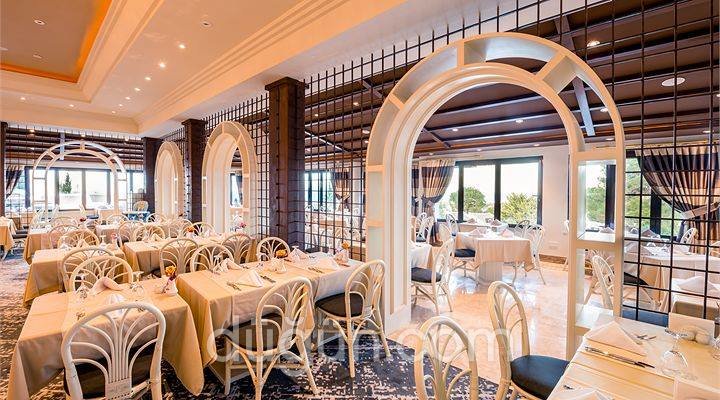 The Olive Tree Hotel