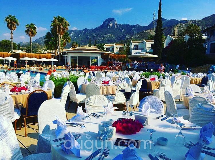 The Olive Tree Hotel