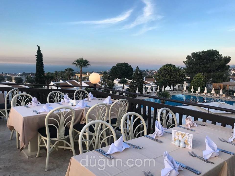 The Olive Tree Hotel