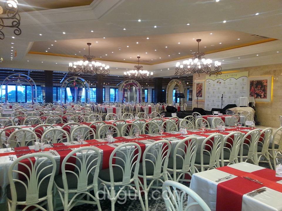 The Olive Tree Hotel