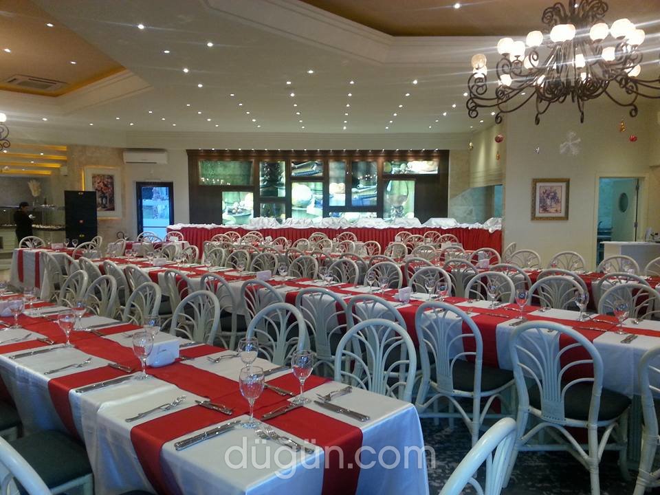 The Olive Tree Hotel