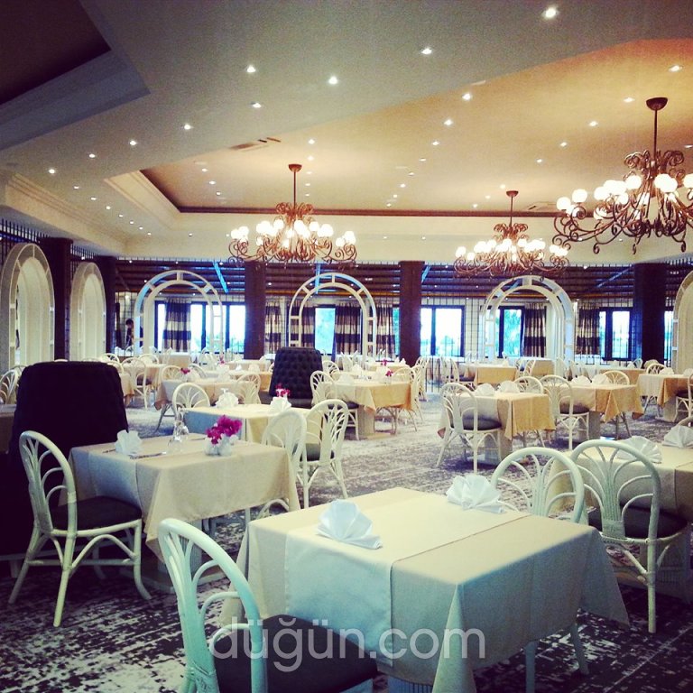 The Olive Tree Hotel