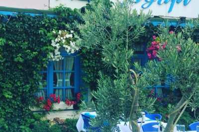Agapi Restaurant