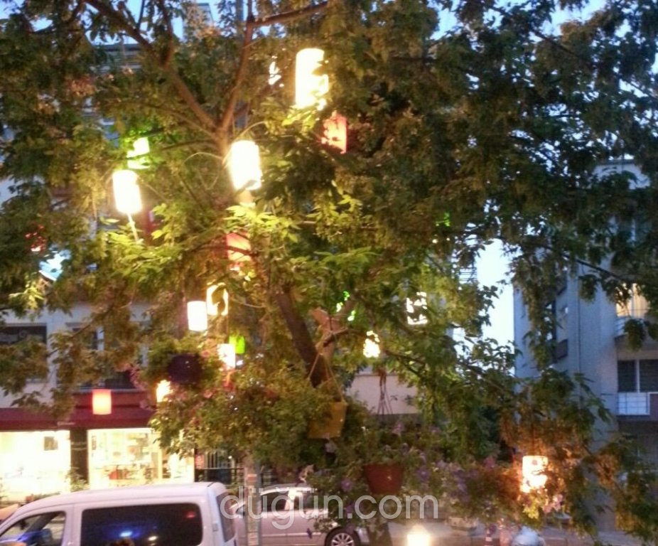 Ayvalık Meze Balık