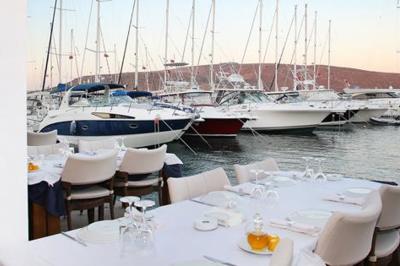 Balıkçı Niyazi & Pavarotti