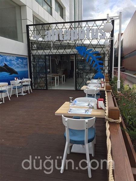 Restaurant Ahtapotus