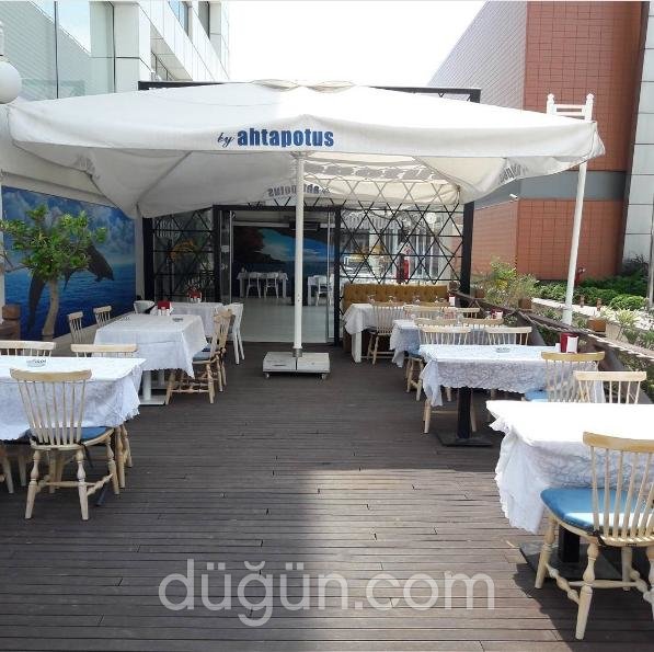 Restaurant Ahtapotus