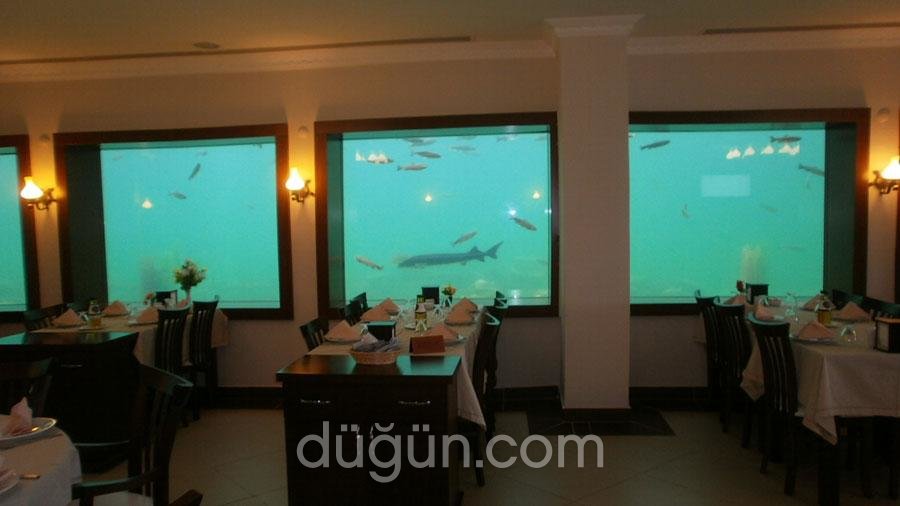 Kocamanlar Balıkçılık Kaplıkaya