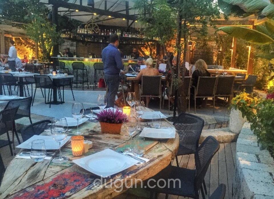 Momo Italian Restaurant & Lounge