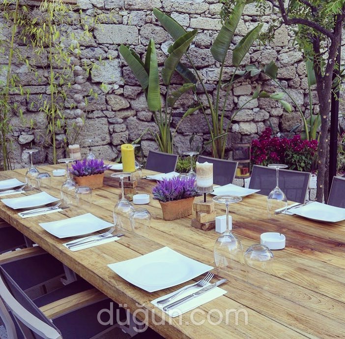 Momo Italian Restaurant & Lounge