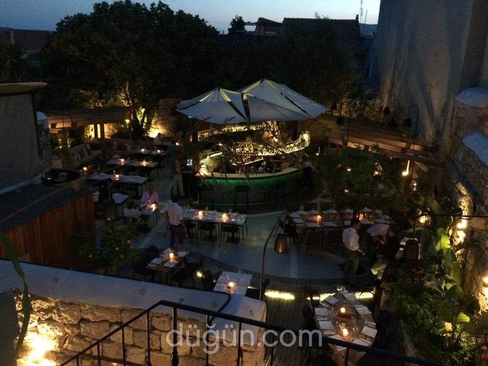 Momo Italian Restaurant & Lounge